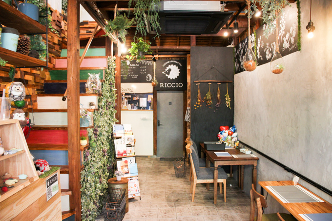 【高槻】JR摂津富田駅からすぐ、ハリネズミがコンセプトの可愛いカフェ『RICCIO』