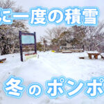 【高槻市】数年に一度の積雪！冬のポンポン山で雪山登山（2025.2.8）