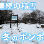【高槻市】2年連続の積雪！冬のポンポン山で雪山登山（2026.2.8）